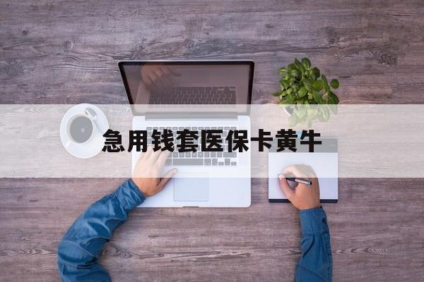 新乡急用钱套医保卡黄牛(小额医保300以内提取)